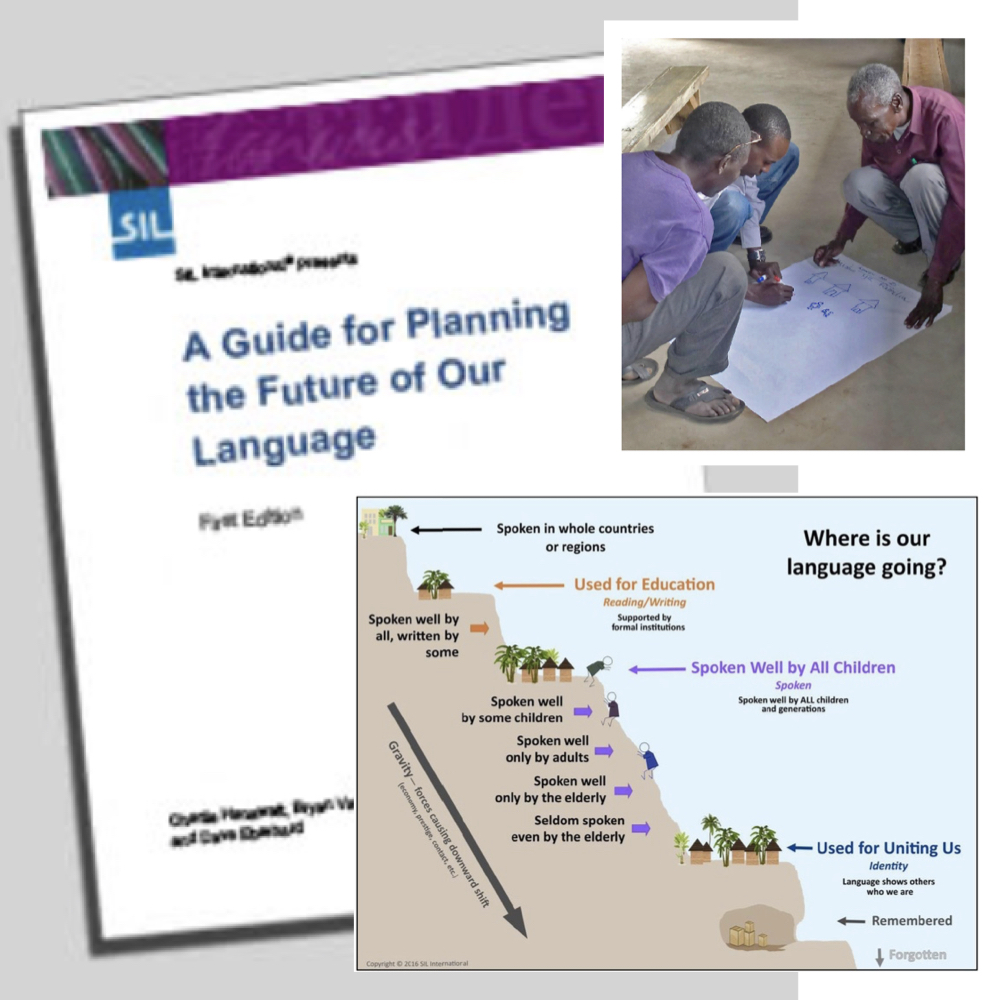 What Is The Language Planning